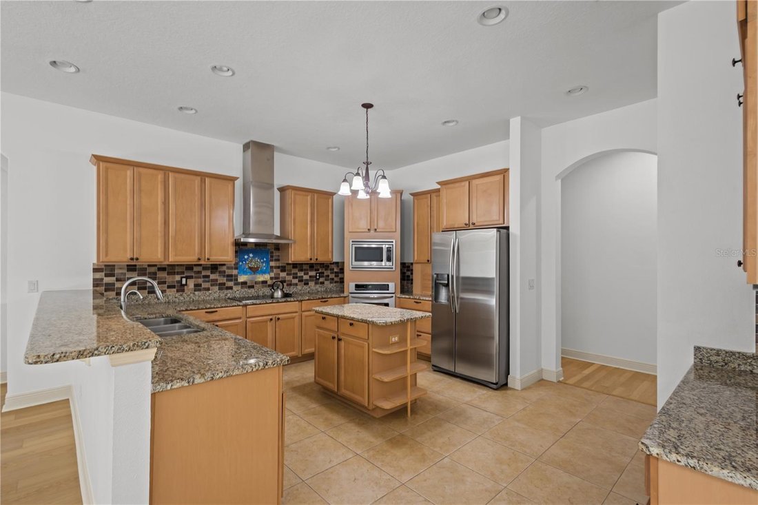House in Odessa, Florida, United States 4 - 18365508