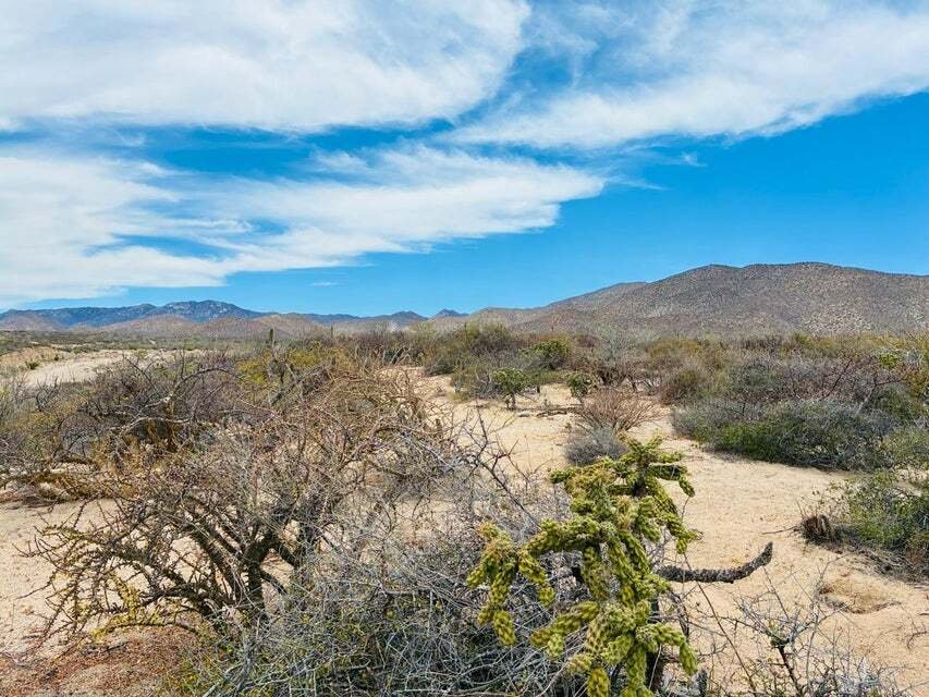 Land in El Sargento, Baja California Sur, Mexico 5 - 18363992