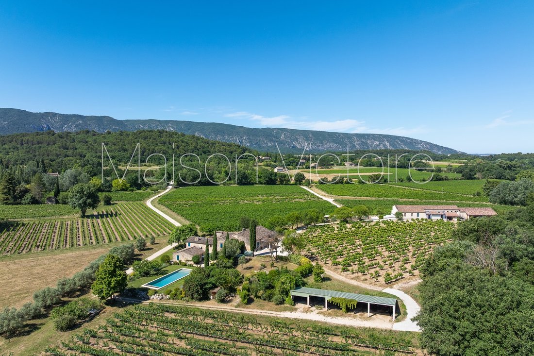 House in Ménerbes, Provence-Alpes-Côte d'Azur, France 5 - 17612997