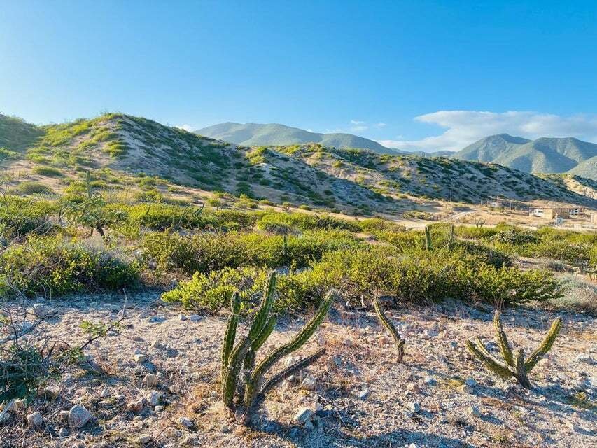 Land in El Sargento, Baja California Sur, Mexico 5 - 18363987