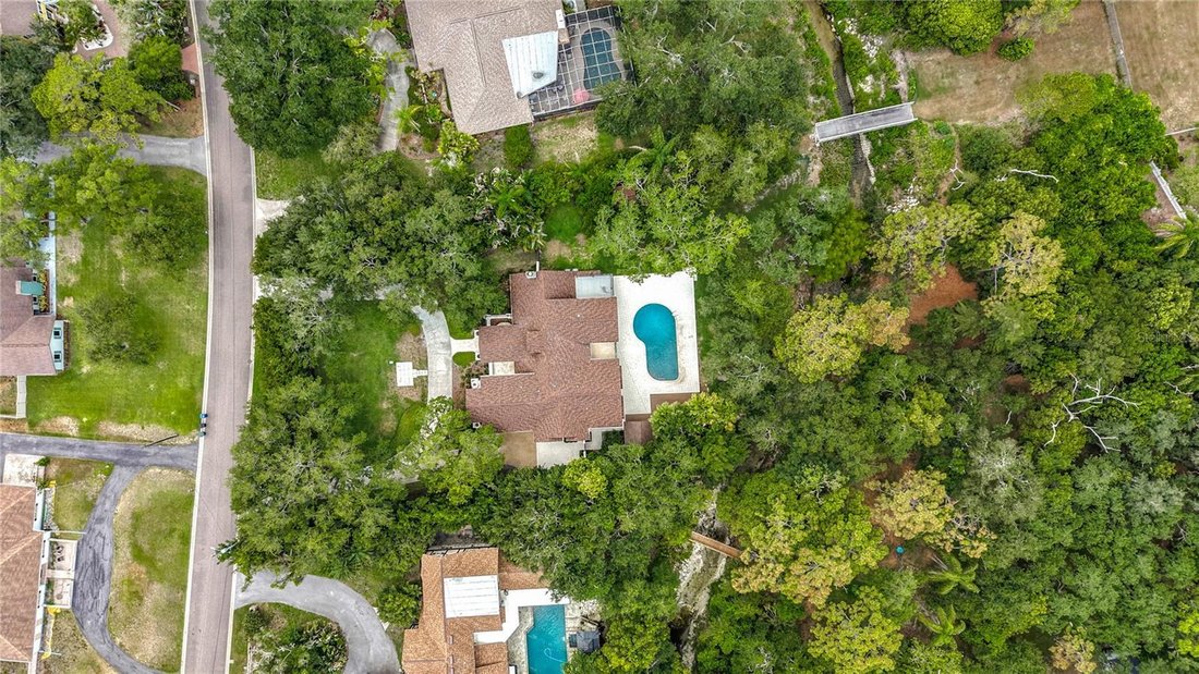 House in Dunedin, Florida, United States 4 - 18365527