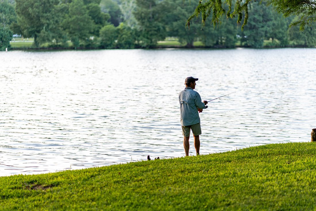 Austin, Texas, United States 5 - 17842969
