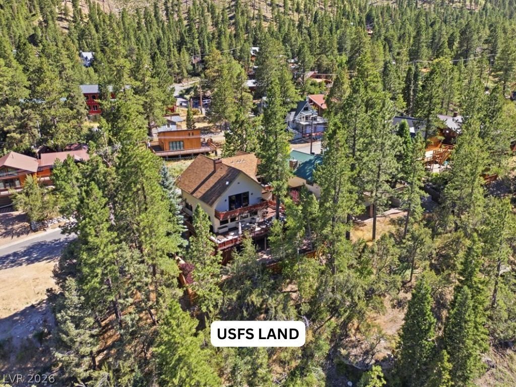 House in Mount Charleston, Nevada, United States 3 - 18365080