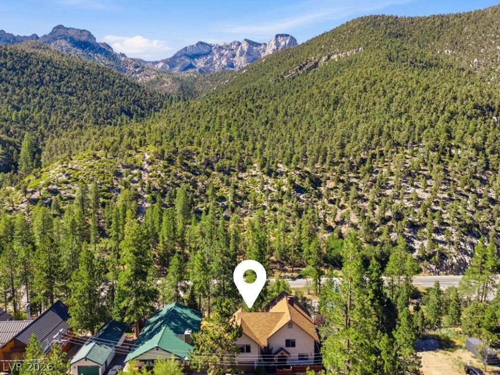 House in Mount Charleston, Nevada, United States 4 - 18365080