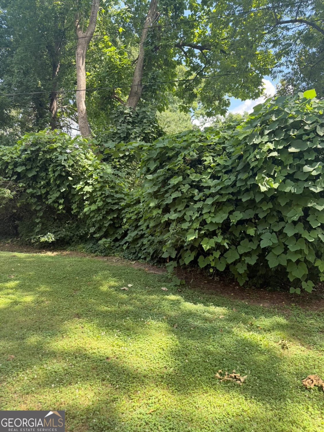 House in Atlanta, Georgia, United States 5 - 18366538