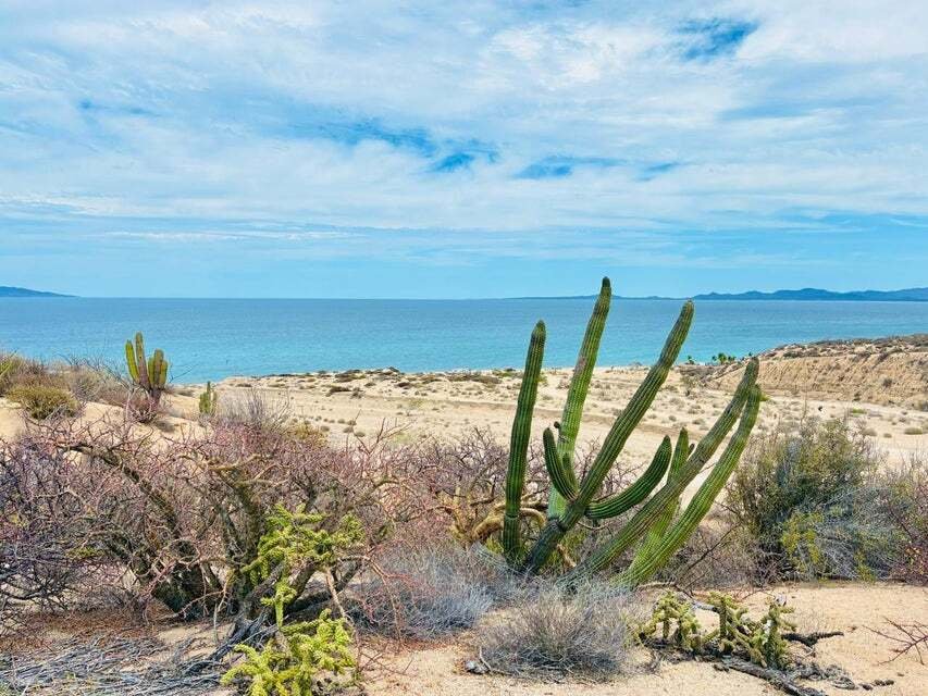 Land in El Sargento, Baja California Sur, Mexico 4 - 18363992