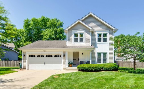 House in Prospect Heights, Illinois, United States 1