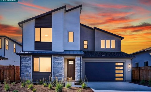 House in Napa, California, United States 1