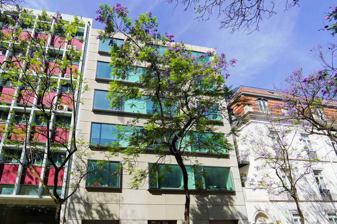 Apartment in Santo Antonio, Lisbon, Portugal 4 - 18367344