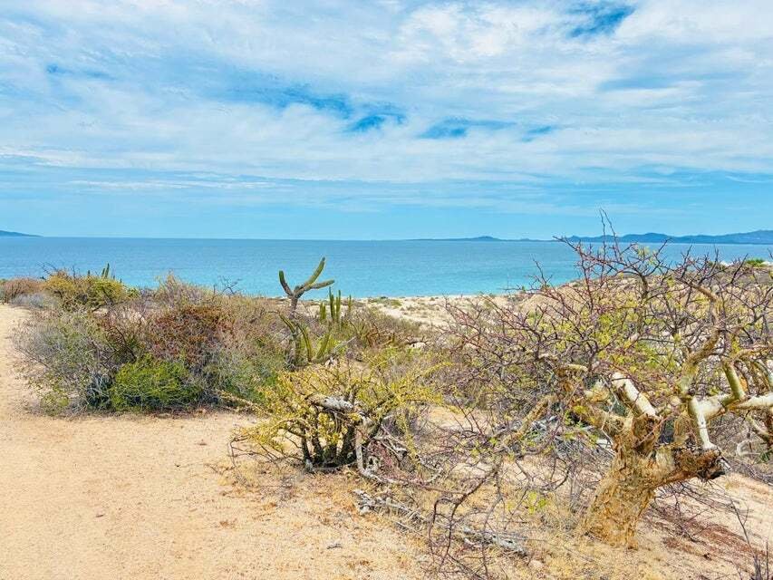 Land in El Sargento, Baja California Sur, Mexico 3 - 18363992