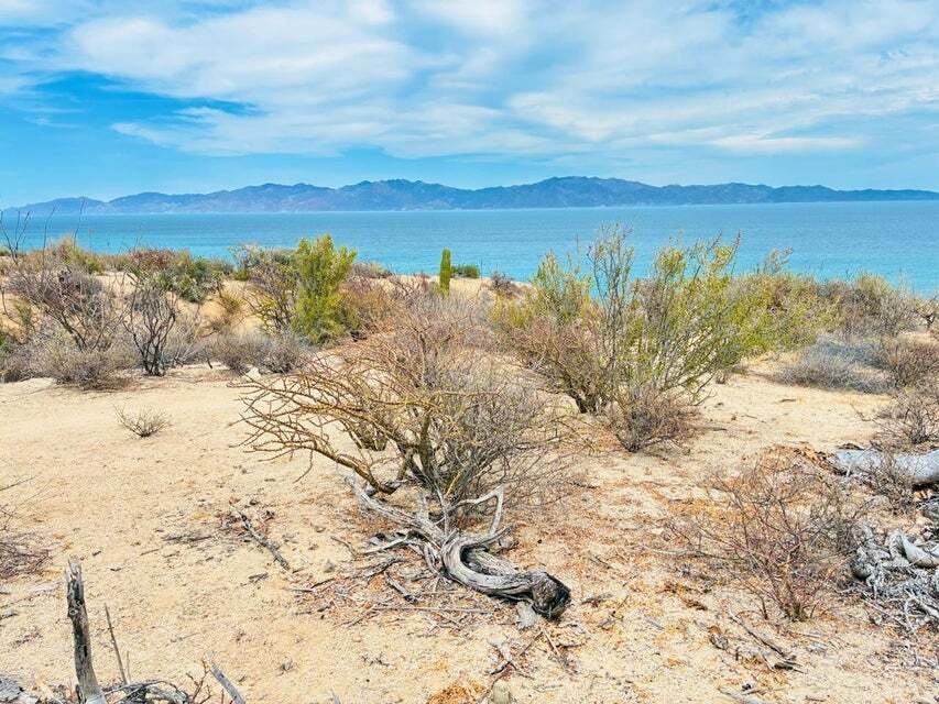 Land in El Sargento, Baja California Sur, Mexico 1 - 18363992