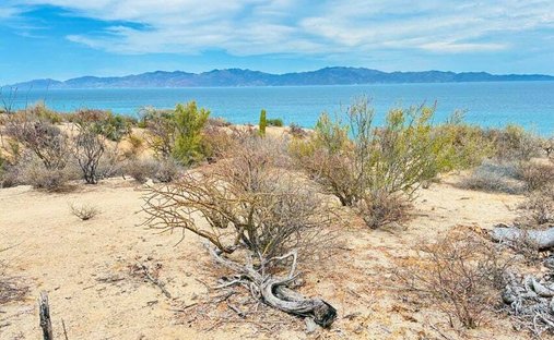 Land in El Sargento, Baja California Sur, Mexiko 1