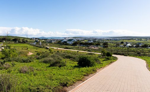 Azienda agricola a Langebaan, Capo Occidentale, Sudafrica 1