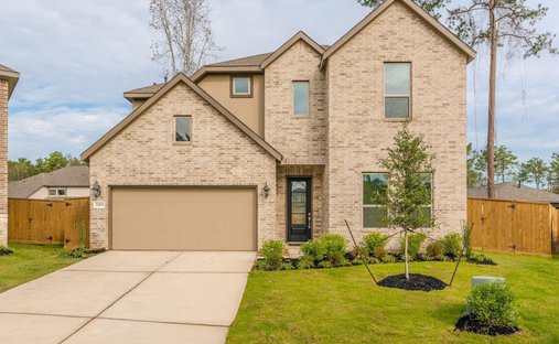 House in Porter, Texas, United States 1