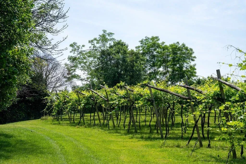 Estate in Affi, Veneto, Italy 2 - 18127971