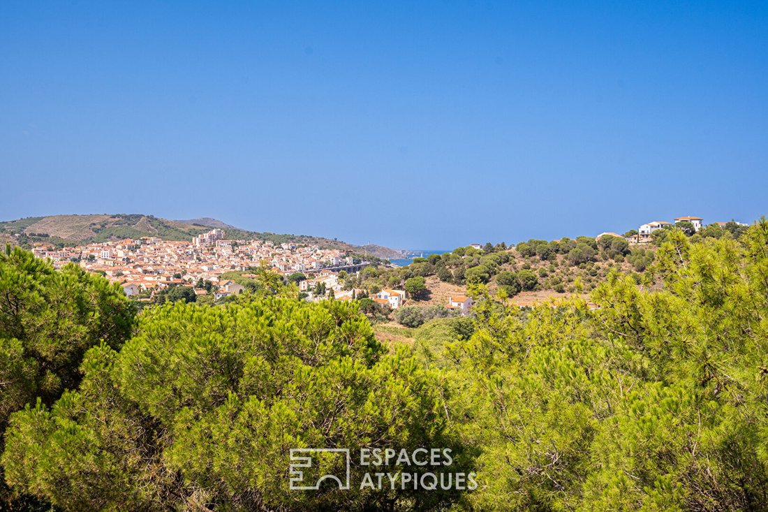 Villa in Ouest, Banyuls-sur-Mer, France 4 - 18367534