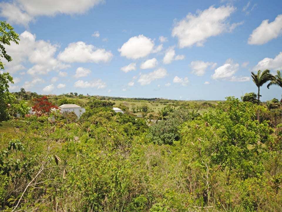 Terrain à Westmoreland, Saint James, Barbade 4 - 18370940