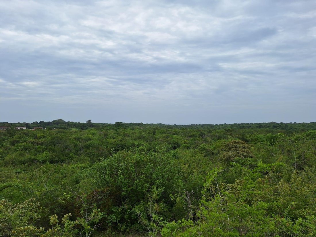 Finca in Rio Hato, Coclé Province, Panama 1 - 18370661