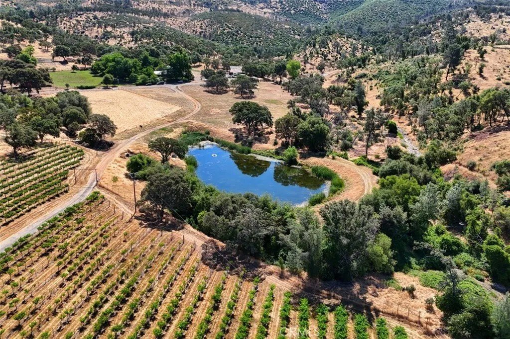 House in Catheys Valley, California, United States 4 - 18370160