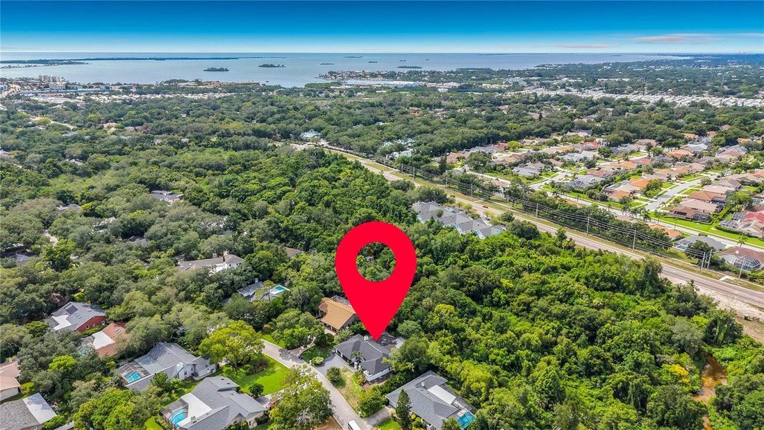 House in Dunedin, Florida, United States 4 - 18370526