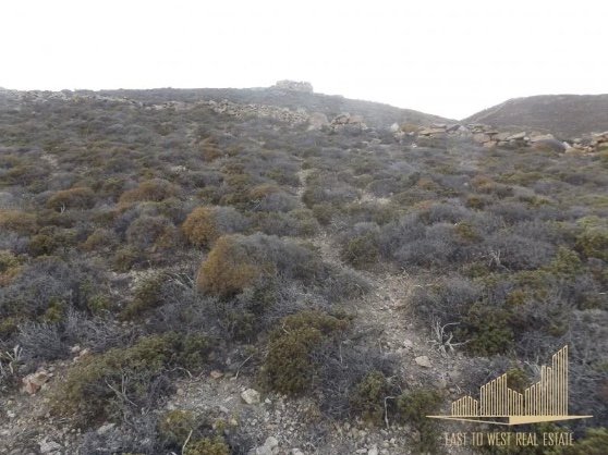 Land in Ano Mera Community, Aegean, Greece 4 - 18370023