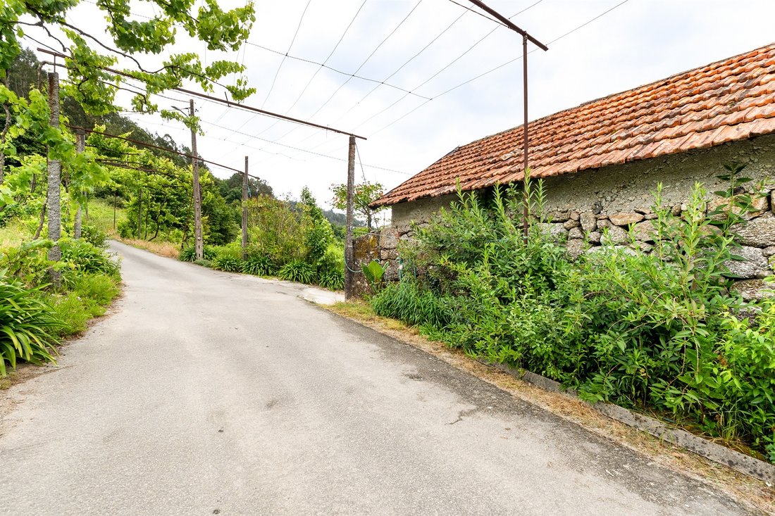 Farm Ranch in Britelo, Gemeos e Ourilhe, Braga, Portugal 1 - 18371104