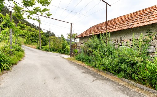 Azienda agricola a Britelo, Gemeos e Ourilhe, Braga, Portogallo 1
