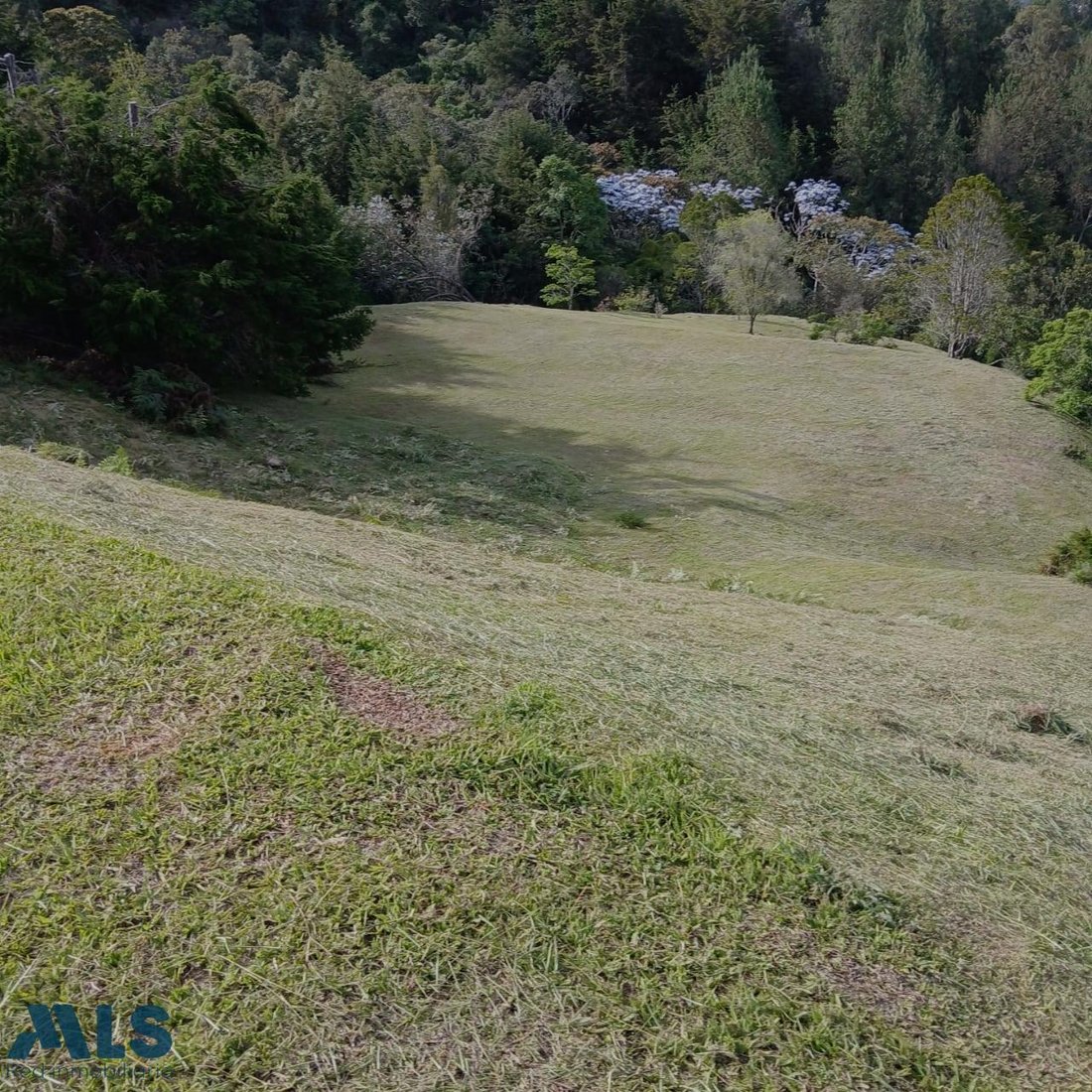 Land in Rionegro, Rionegro, Colombia 5 - 18371137