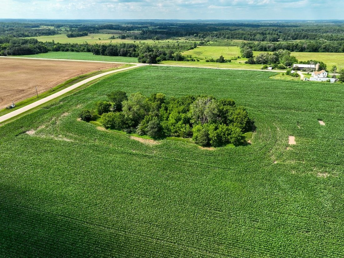 Land in Princeton, Wisconsin, United States 5 - 18317650
