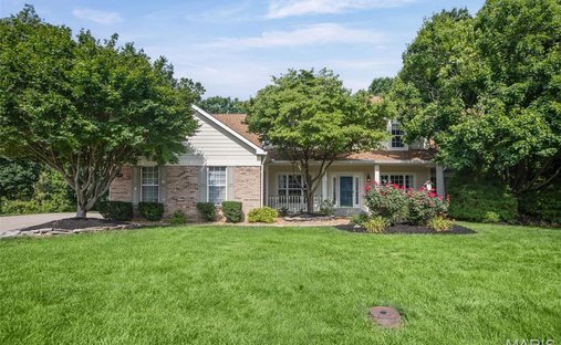 House in Fairview Heights, Illinois, United States 1