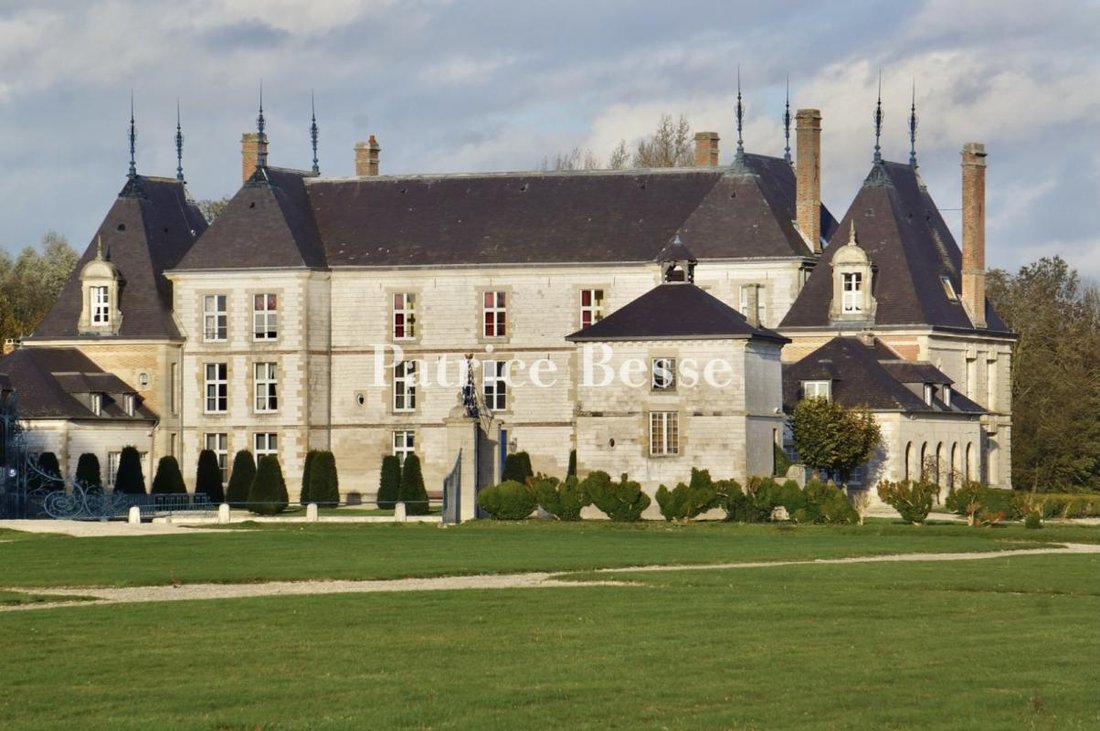 Castle in Centre-Léon Bourgeois, Châlons-en-Champagne, France 1 - 14199044
