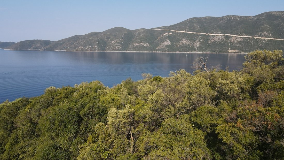 Land in Basilikis, Apollonioi, Greece 3 - 18371336