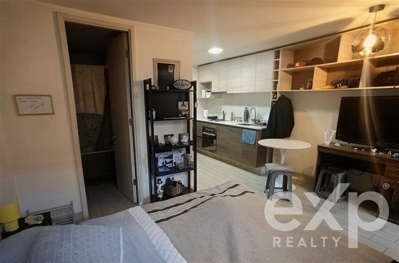 Apartment in Santiago, Santiago Metropolitan Region, Chile 5 - 18371360
