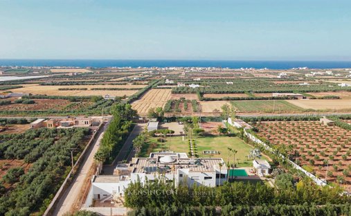 Farm Ranch in Nador, Nador Province, Morocco 1
