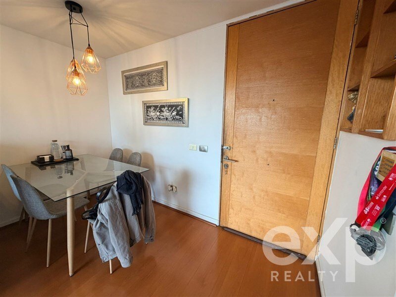 Apartment in Providencia, Santiago Metropolitan Region, Chile 3 - 18371365