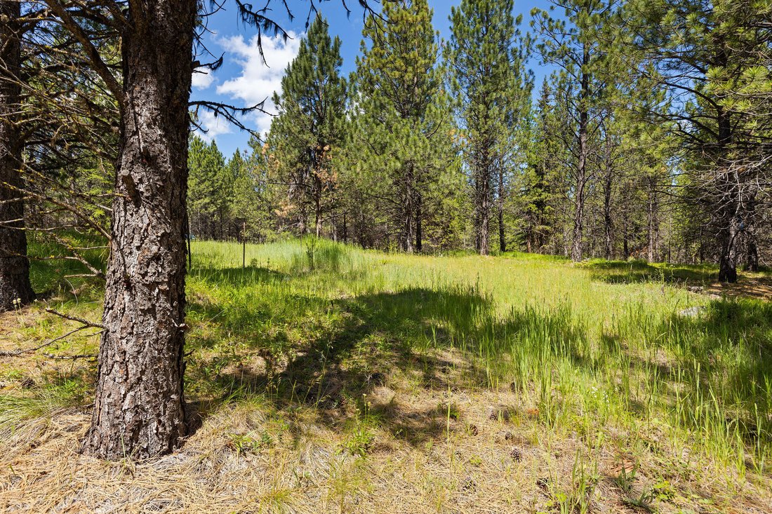Land in Marion, Montana, United States 3 - 18371453