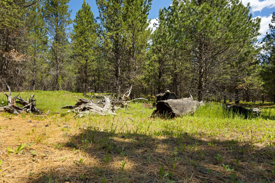Land in Marion, Montana, United States 5 - 18371453