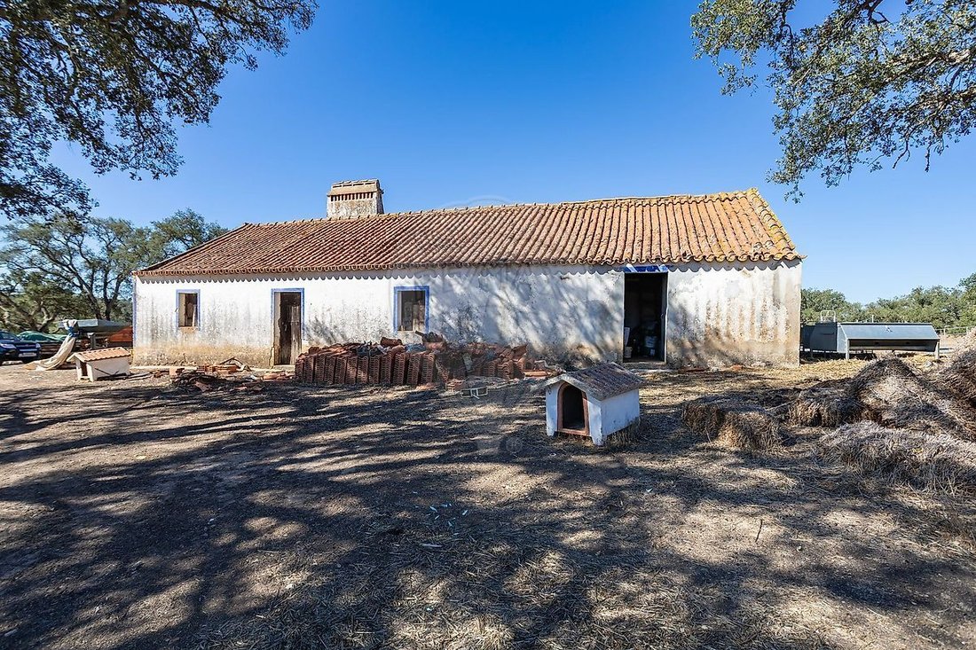 Farm Ranch in Santiago do Cacem, Santa Cruz e Sao Bartolomeu da Serra, Setubal, Portugal 4 - 18372164