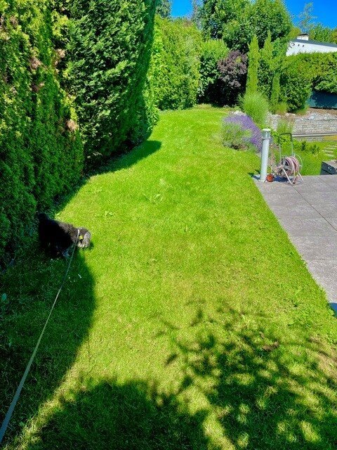 House in Maria Enzersdorf, Lower Austria, Austria 3 - 17034499