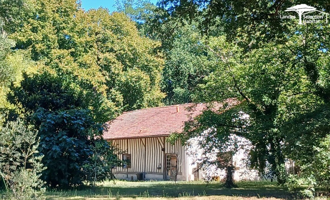 Villa in Bourg Neuf, Mont-de-Marsan, France 3 - 18282878