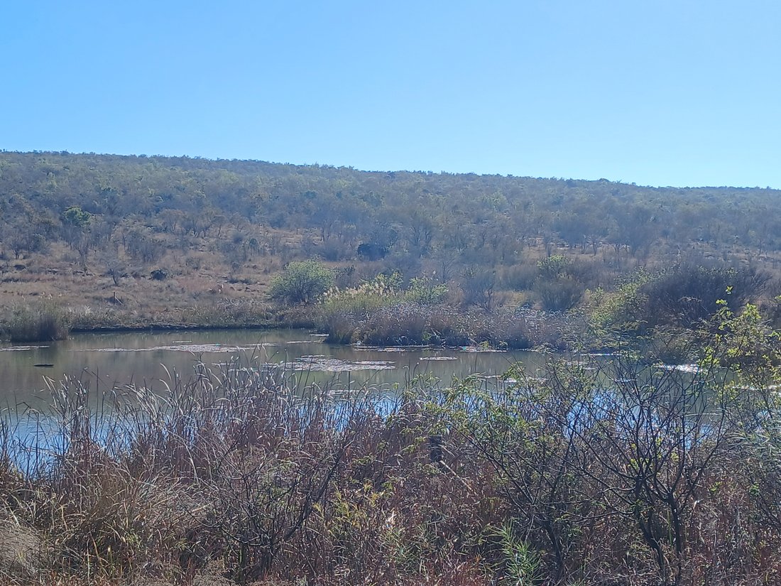 Farm Ranch in Modimolle, Limpopo, South Africa 5 - 18371958