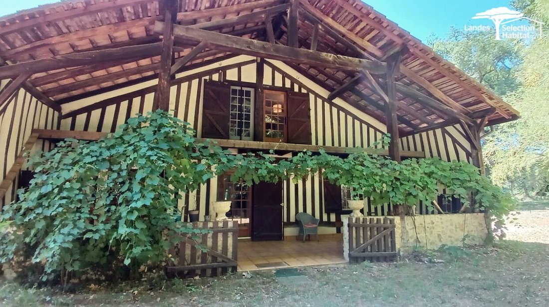 Villa in Bourg Neuf, Mont-de-Marsan, France 4 - 18282878
