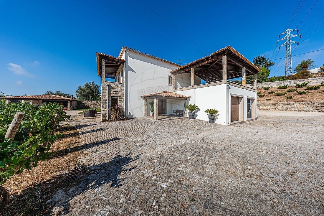 Farm Ranch in Santar e Moreira, Viseu District, Portugal 4 - 18372161