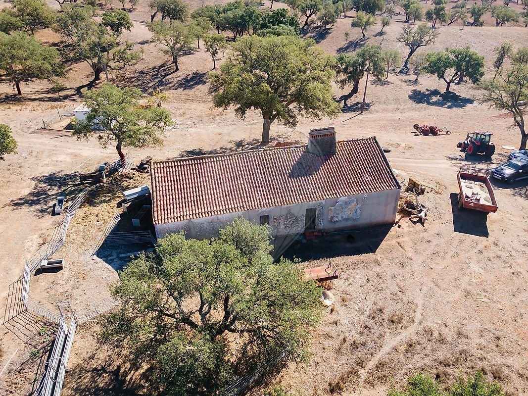 Farm Ranch in Santiago do Cacem, Santa Cruz e Sao Bartolomeu da Serra, Setubal, Portugal 3 - 18372164