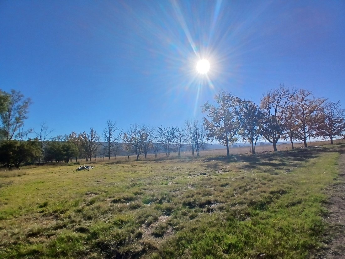 Farm Ranch in Modimolle, Limpopo, South Africa 2 - 18371958