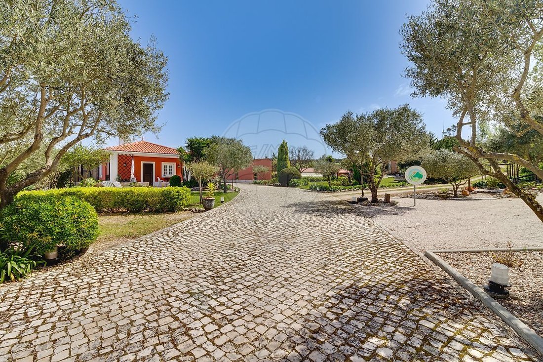 Farm Ranch in Santo Quintino, Lisbon, Portugal 1 - 18372126