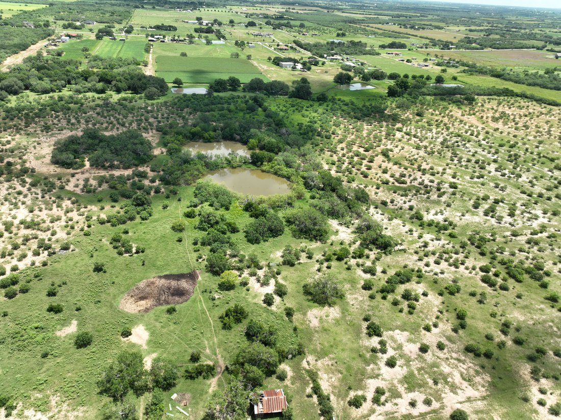Farm Ranch in Saint Hedwig, Texas, United States 2 - 18372131