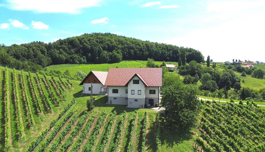 Country House in Schloßberg, Styria, Austria 5 - 17404811