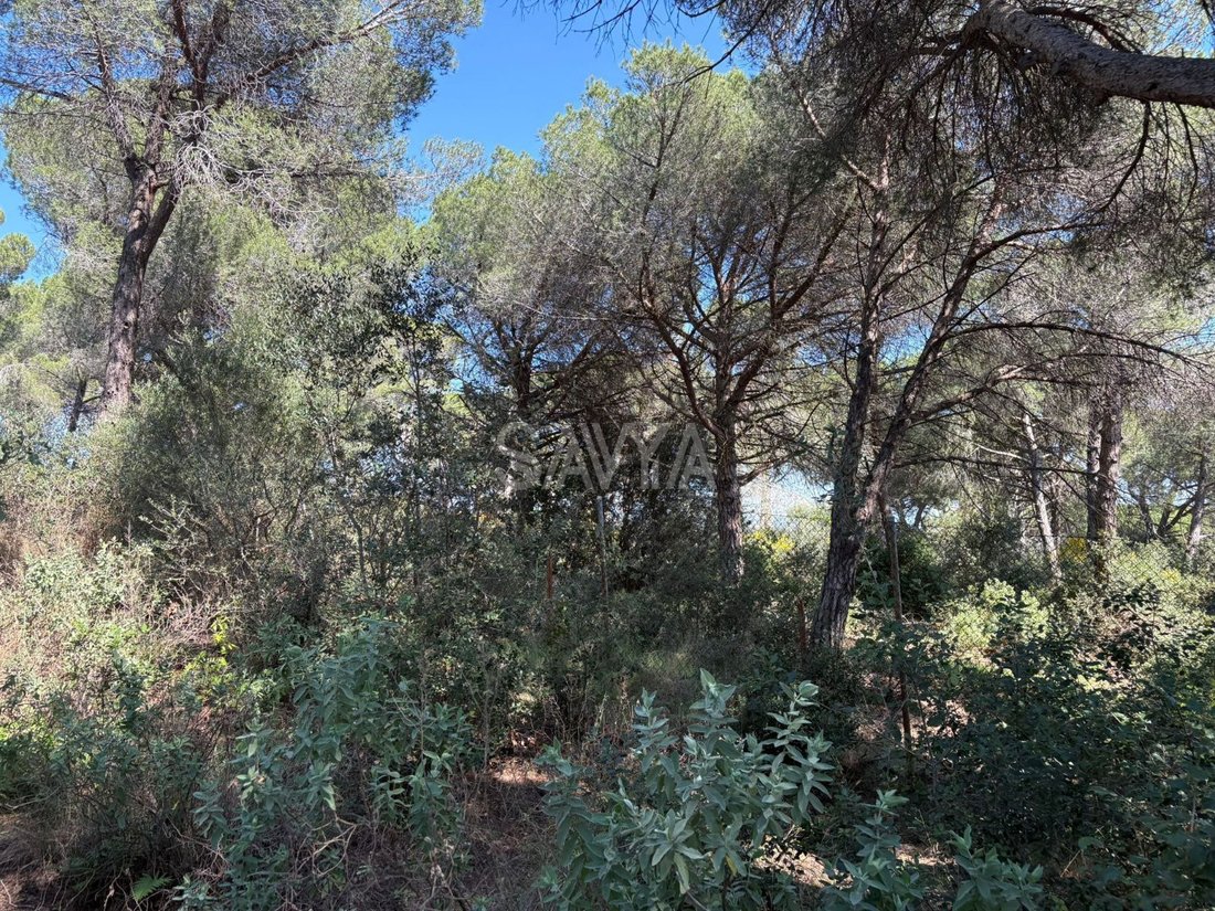 Finca in Sant Vicenc de Montalt, Catalonia, Spain 2 - 18372010