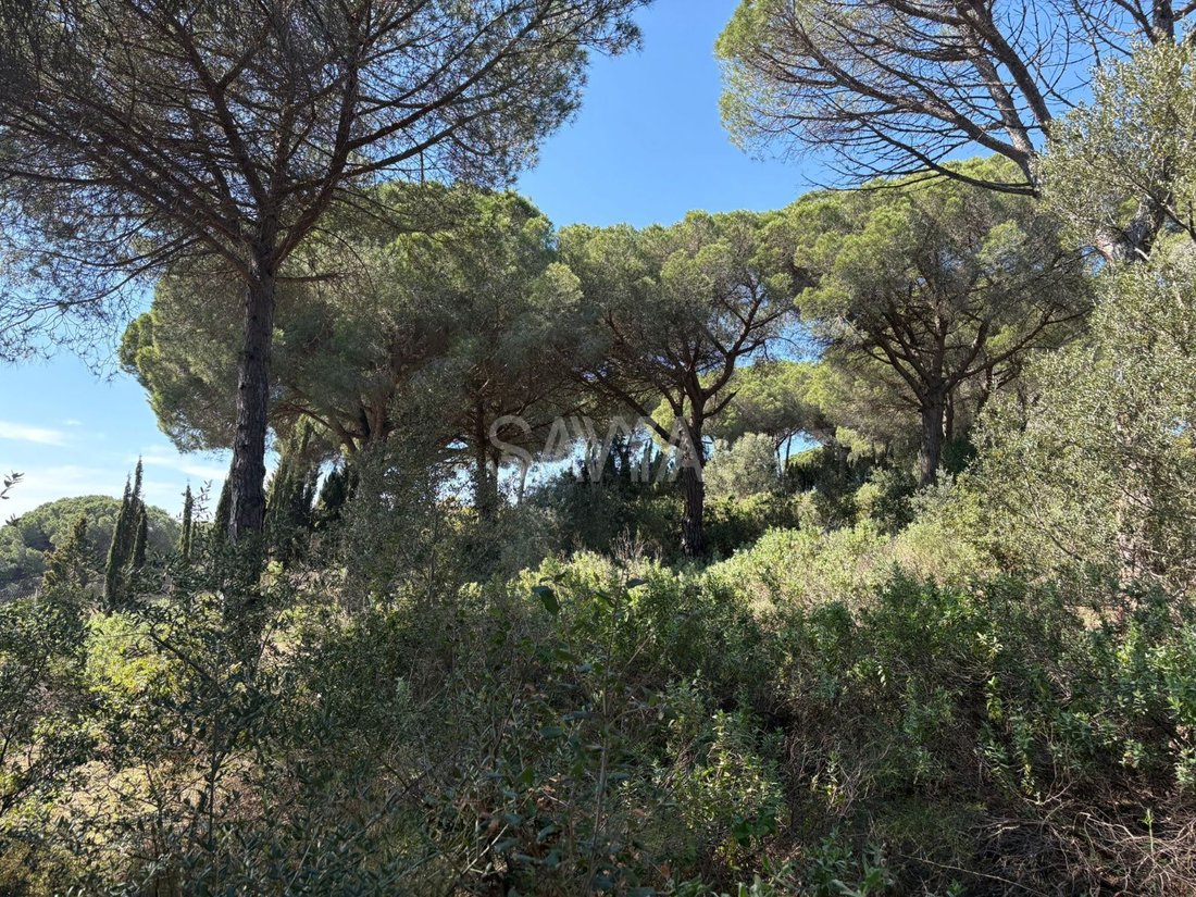 Finca in Sant Vicenc de Montalt, Catalonia, Spain 3 - 18372010